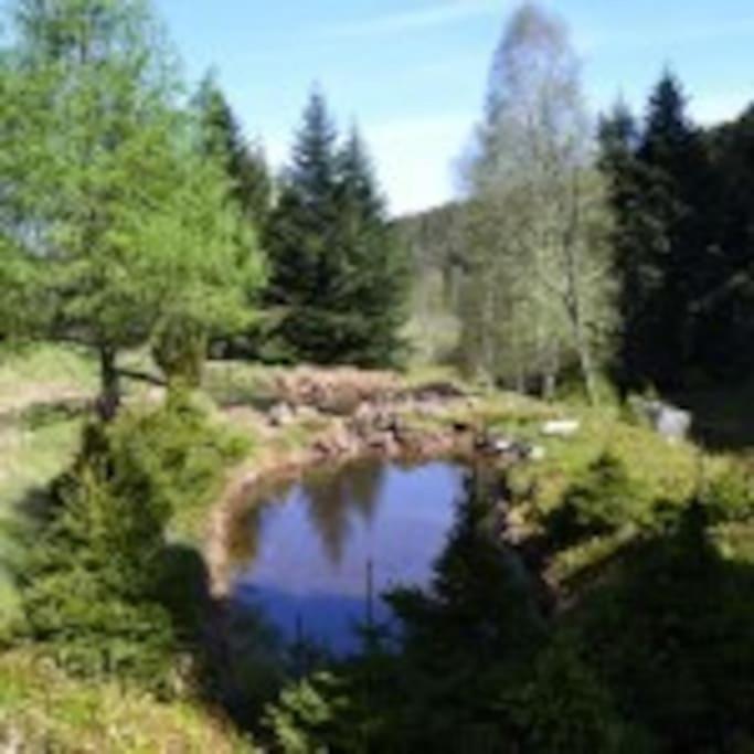 Gite Gretel De La Ferme Du Schneeberg Wangenbourg-Engenthal Exterior photo